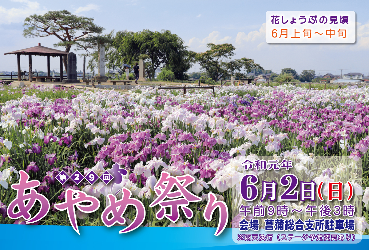 あやめ祭り 久喜市菖蒲 あやめ ラベンダーの花咲く菖蒲のブルーフェスティバル